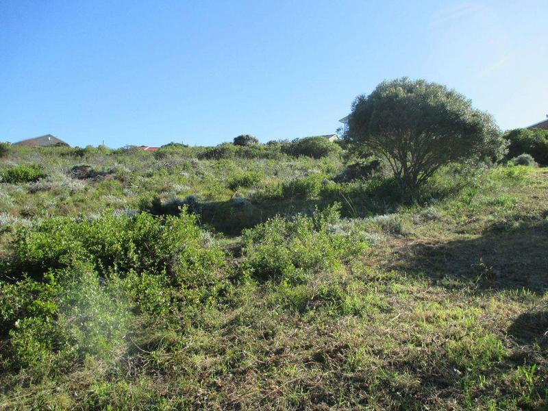 0 Bedroom Property for Sale in Dana Bay Western Cape